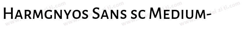 Harmgnyos Sans sc Medium字体转换